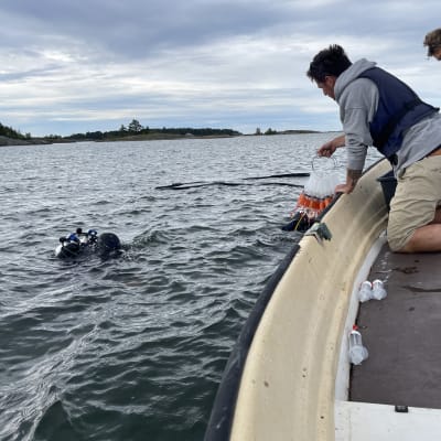 Forskare som tar emot vattenprover på en båt.