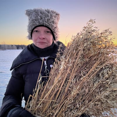 Maatalousyrittäjä Marianne Rajala seisoo pellon reunassa sylissään mustakauralyhde.