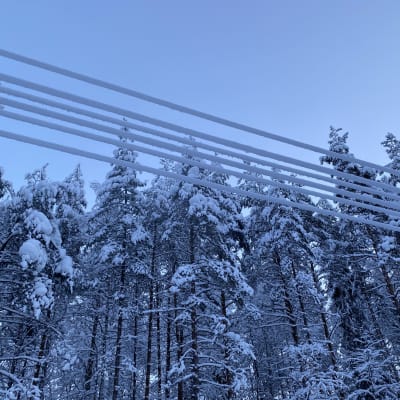 Luminen keskijännitelijna.