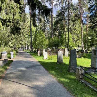 Hautakiviä ja puistokäytävä Kuopion Isolla hautausmaalla.