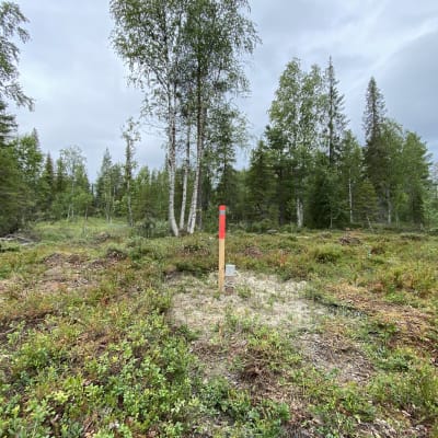 Kaivosyhtiö Anglo American Sakatti Oy:n kairausreikä Viiankiaavan Natura-alueella Sodankylässä elokuussa 2021.