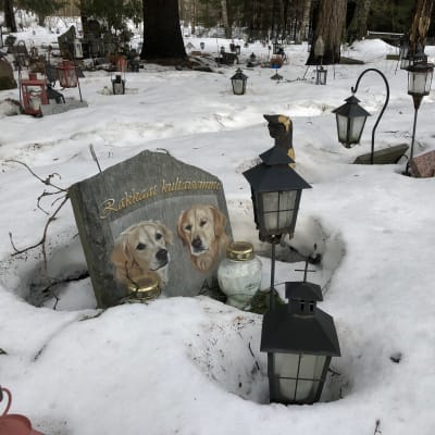 Hautakivi eläinten hautausmaalla.