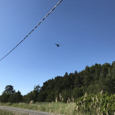 Gränsbevakningens helikopter flyger över åkrar och träd på Satava för att släcka en brand.