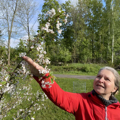 Sanne Wikström står vid ett körsbärsträd.