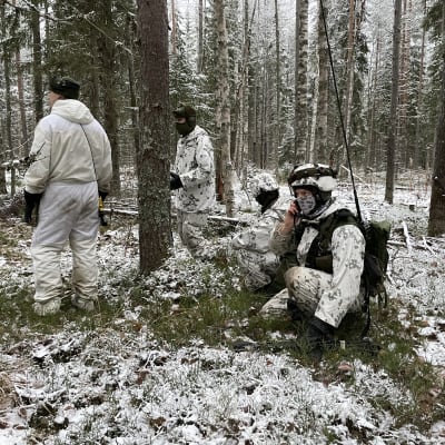 Kolme varusmiestä lumipuvuissa keskellä lumista metsää Kontio 22 -pääsotaharjoituksessa Nurmeksen Sotinpurolla.