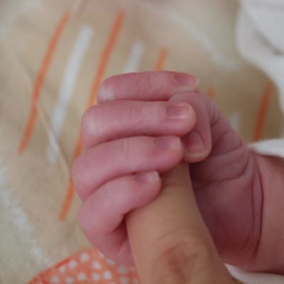 Nyfödd greppar en vuxen hand