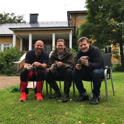 Matias Jungar, Tomas Landers och Michael Björklund sitter på stolar i en trädgård och plockar ringduvor.