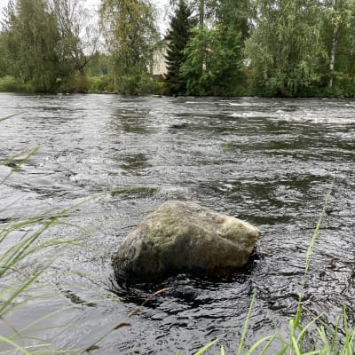 Kivi Kymönkoskessa Viitasaarella. 