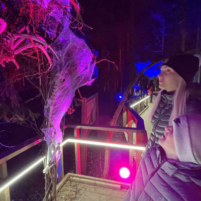 Mervi ja Luka Lukin katsovat jättiläishämähäkkiä Puijon Halloween-polulla Kuopiossa.