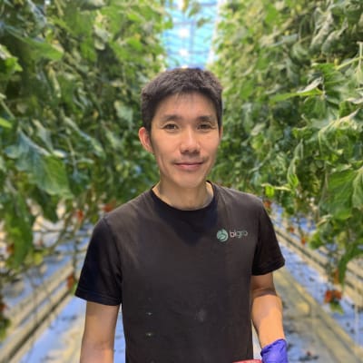 Mansperson av vietnamesiskt ursprung ler in i kameran. I bakgrunden växthusmiljö med synliga tomatplantor.