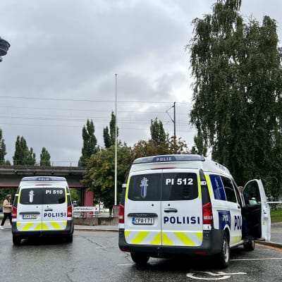 Poliisiautoja parkkeerattuna takaapäin kuvattuna.