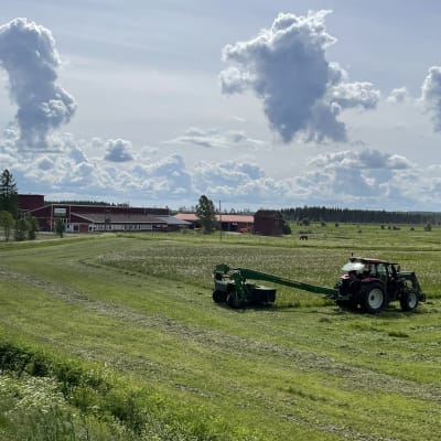 Traktori pellolla viittämässä heinää Kiteen Koivikossa.