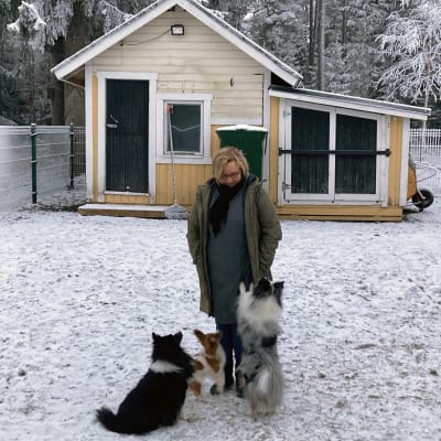 Tarja Rousu pihalla kolmen koiran kanssa, lunta maassa