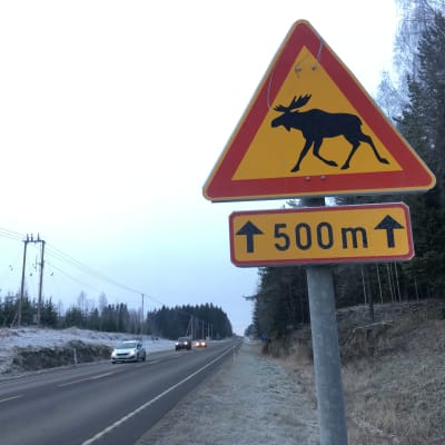 Hirvistä varoittava liikennemerkki valtatie 23:lla Kankaanpäässä.