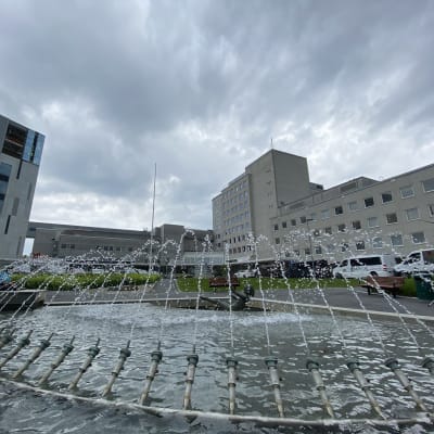 En sjukhusbyggnad. Mörka moln på himlen.