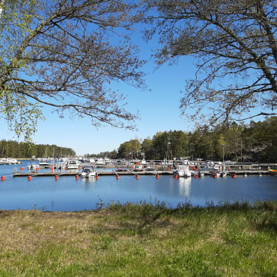 Småbåtshamn.