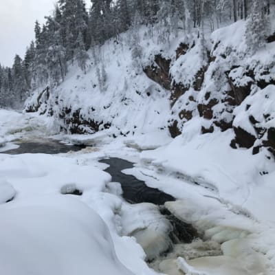 Jäinen Kiutaköngäs Oulangan kansallispuistossa