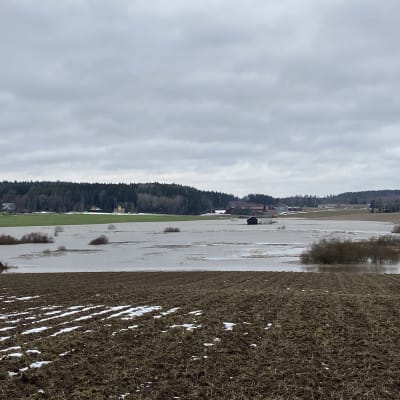 Tulvaveden peittämä peltomaisema Jokioisilla tammikuussa 2023.