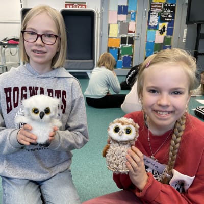 Amanda ja Emma Pajarinen esittelevät Höttö ja Untuva -nimiset pöllönsä. 