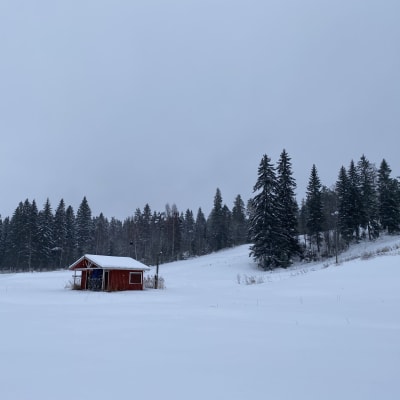 Vattuvuori