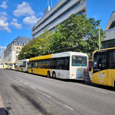 Bussar på rad på Eriksgatan i Åbo den 15.8.2022. Foto: Mikael Piippo/Yle