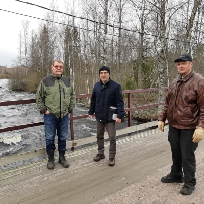 Kai Saviaro, Jukka Mustajärvi och Allan Hjulfors.