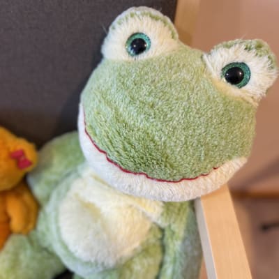 En orangefärgad nalle och en ljusgrön mjukisgroda på en beige soffa.