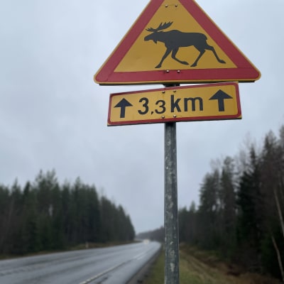 Hirvivaroitusmerkki Jalasjärvellä kolmostien varressa.