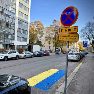Keltaista ja sinistä maalia diplomaatin parkkiruudussa.