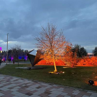 Viitasaaren torin puita on iltahämärässä valaistu oranssiksi, taustalla näkyy vaaleanpunaiseksi valaistu kirkontorni ja sinipunaisia puita torinrannassa.