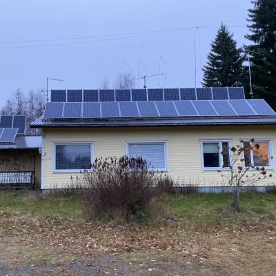 Rantasalmelaisen Artti Teurin katto on täynnä aurinkopaneeleita.
