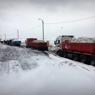 Lastbilar transporterar snö på Ärtholmen i Helsingfors.