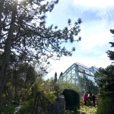 Botaniska trädgårdens växthus utifrån sett med tre små flickor i förgrunden.