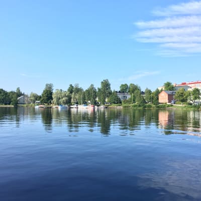 Savonniemen rantaa Savonlinnassa.