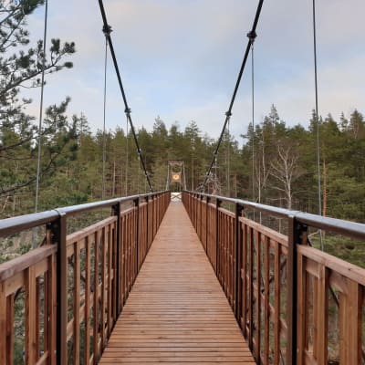 Puinen riippusilta metsämaisemassa Repoveden kansallispuistossa Kouvolassa