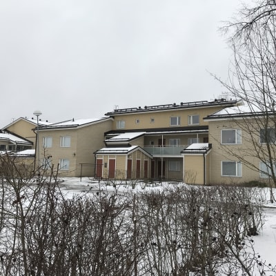 Vasaratie 20