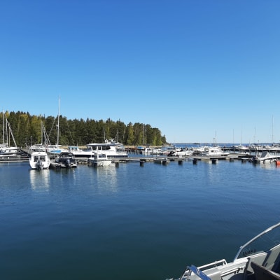 Småbåtshamn.