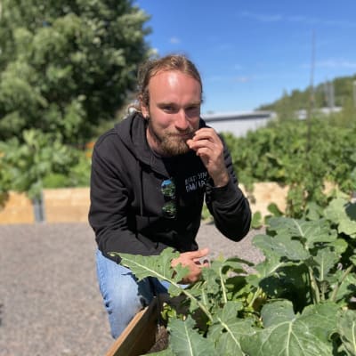 Sauli Rantanen Kera-kollektiivinen kaupunkiviljelmällä