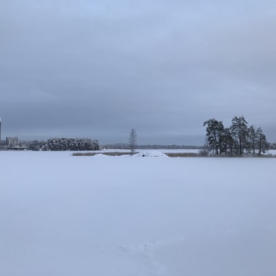 Talvinen Kallavesi jäätyi 5. tammikuuta 2021.