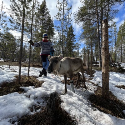 Arja Salo ja Sissi-poro