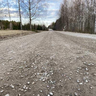 Hyväkuntoista soratietä auringonpaisteessa. 