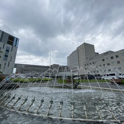 En sjukhusbyggnad. Mörka moln på himlen.