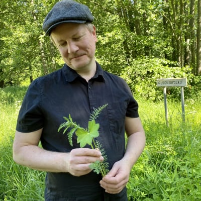 Yrttiopas Jyrki Pirkkalaisen kädessä on kaksi kasvia: siankärsämö ja poimulehti.