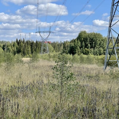 Iso sähkölinja halkoo viljelemätöntä peltoa. Pellon reunan takana metsässä näkyy korkea teollisuusrakennus.