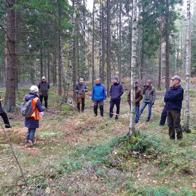 Västnyländska skogsägare i en skog i Västankvarn.