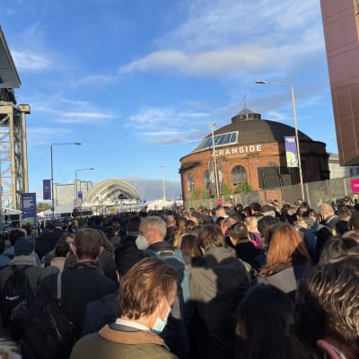köer på klimatmötet i Glasgow