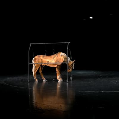 Hevosta esittävä luonnolliseen kokoon tehty nukke teatterin näyttämöllä.