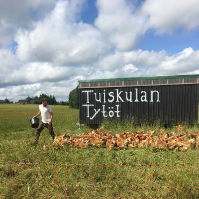 Pieter-Jan van Damme matar sina höns vid Tuiskula gård i Sjundeå.