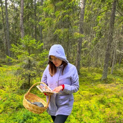 Vilja Colliander som bläddrar genom sin svampbok medan hon vandrar i skogen.
