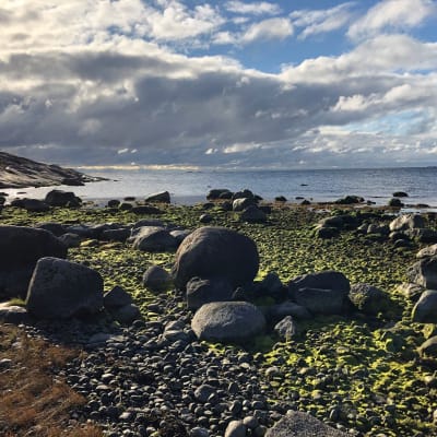 Stenigt strandlandskap på Örö